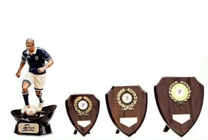 Sports Day Trophies, Glassware, Sales Awards and Engraving Service